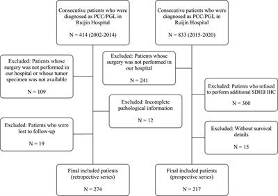 SDHB immunohistochemistry for prognosis of pheochromocytoma and paraganglioma: A retrospective and prospective analysis